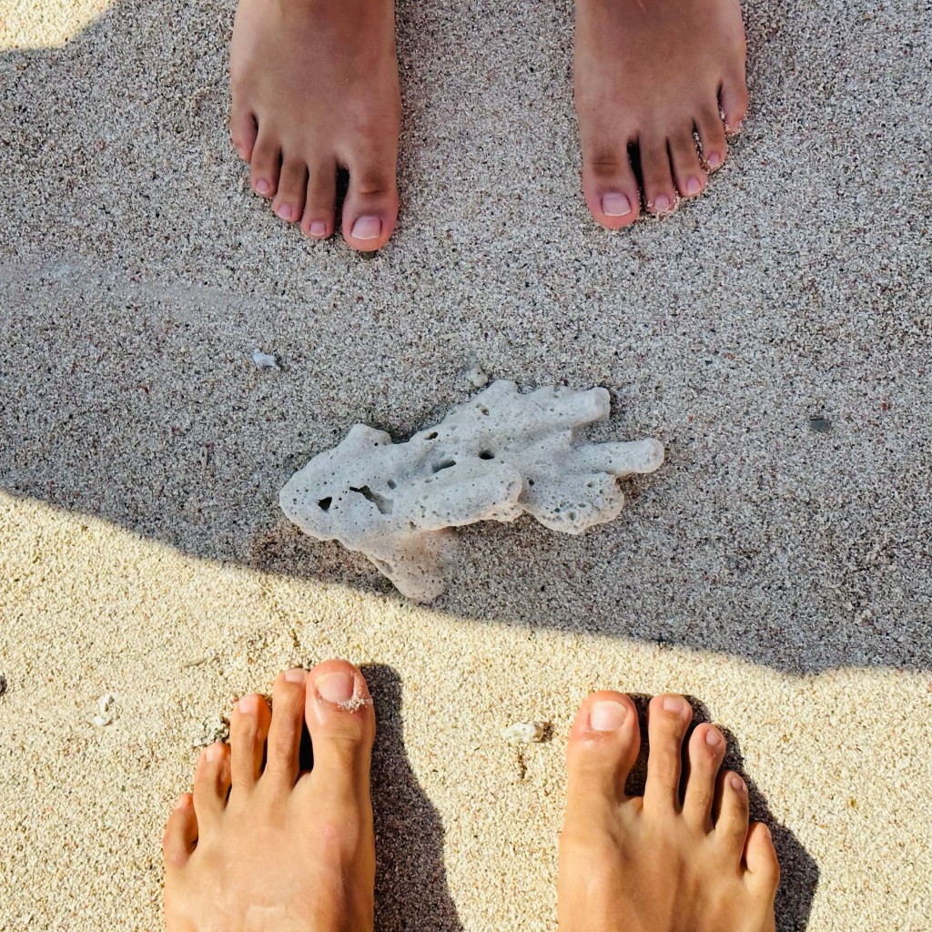 The day is almost&nbsp;over…