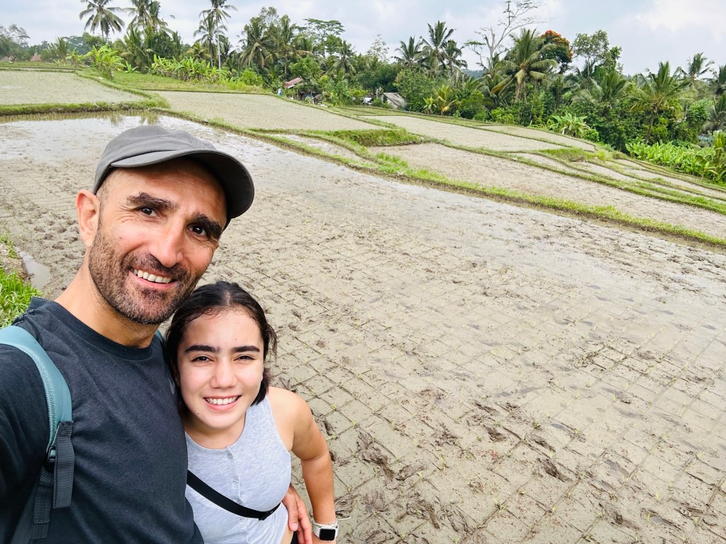 A ride through rice&nbsp;fields